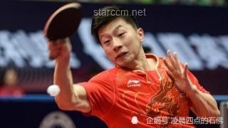 樊振东乒超大逆转对比分析：战术、心态与对手应对